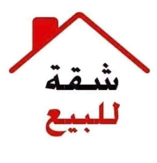 شقة
