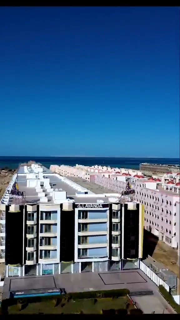 صورة 2