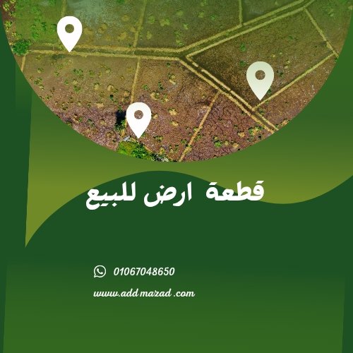 ارض - حى النور